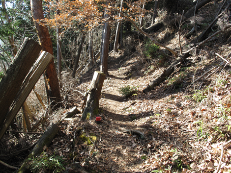 20170113hike (60)